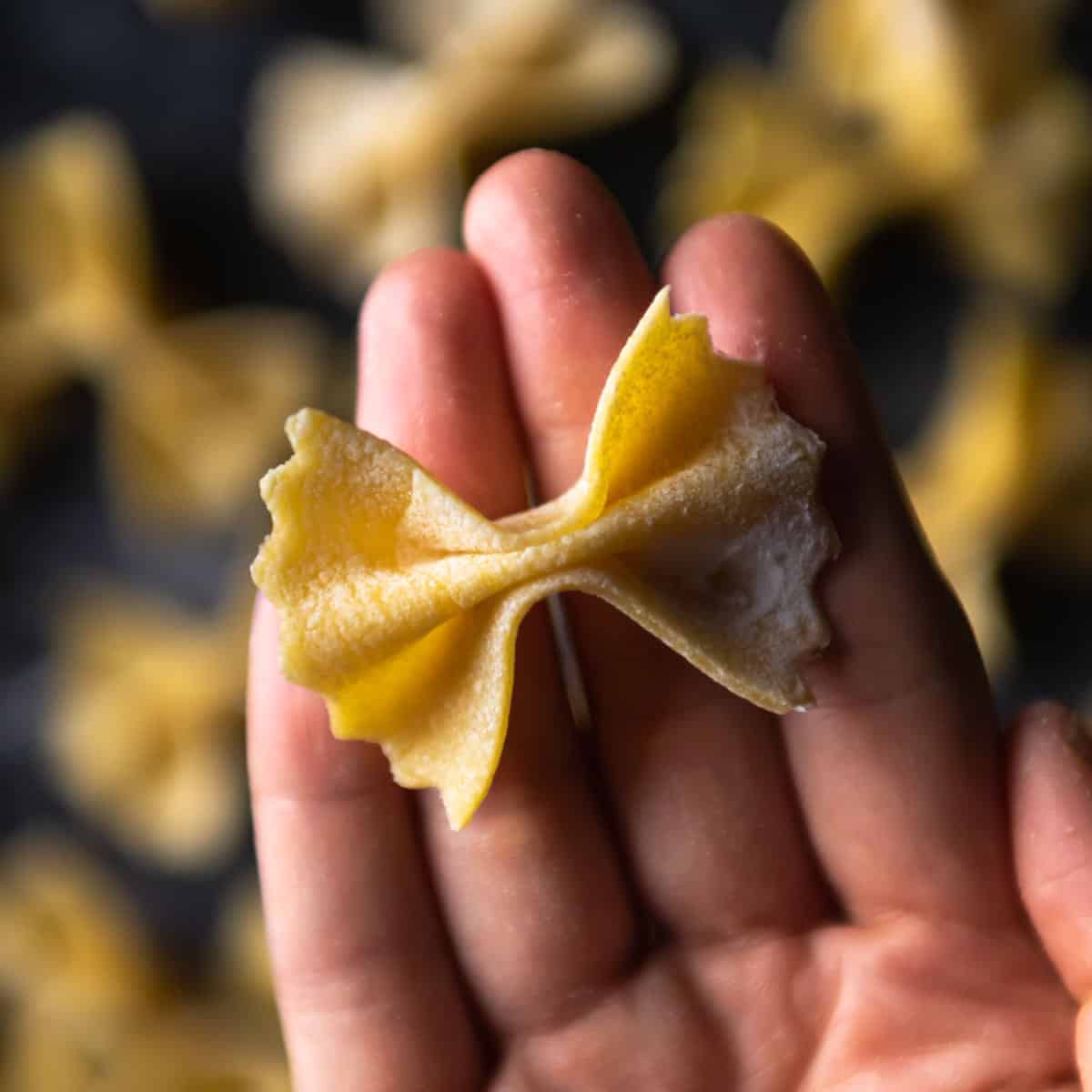 a close up picture of a hand holding a handmade farfalle from fresh pasta