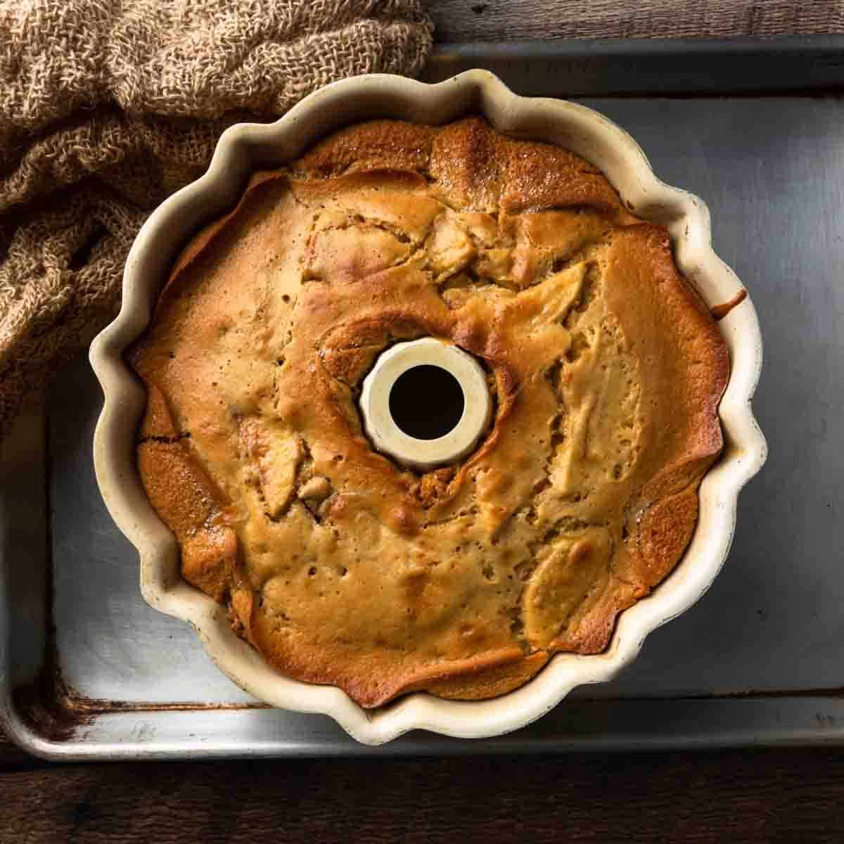The freshly baked Jewish apple cake in the bundt pan