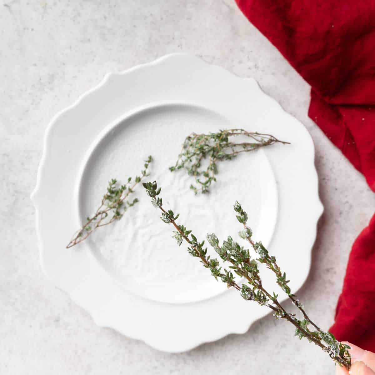 Holding a sprig of candied thyme over a plate of granulated sugar. 