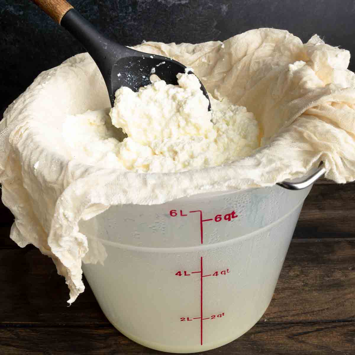 A slotted spoon ladeling curds of fresh ricotta cheese into a cheesecloth lined colander.